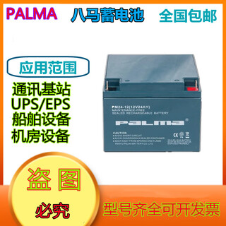 PALMA铅酸蓄电池PM12V7AH17AH24AH38AH40A八马H65AH100AH消防应急UPS PM24-12   12V24AH