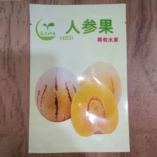 Ginseng fruit seeds round fruit yellow flesh fruit seeds seedlings potted plants for courtyards and balconies four seasons sowing fruit seeds ginseng fruit seeds (manufacturer original) original 1 pack (100 capsules/pack)