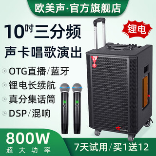 European and american high-end outdoor k-song dedicated sound card audio all-in-one machine professional singer live broadcast home ktv square dance performance high-power mobile trolley bluetooth speaker with microphone a1 10-inch subwoofer 800w 2* headset + gift package