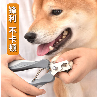 Jczs german dog nail scissors special for cat teddy golden retriever labrador small medium large dog pet finger romantic sakura large size 157*52*25mm