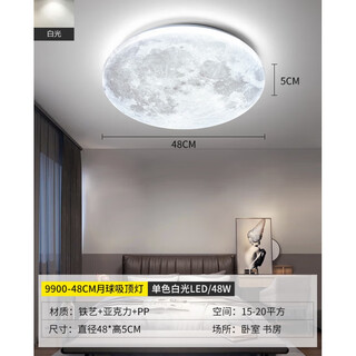 蓝彩和广东中山灯具大全卧室灯吸顶灯房间主卧灯led极简餐厅儿童房灯 【月球】48cm-白光-48
