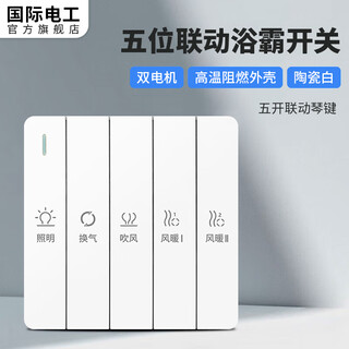 国际电工浴霸开关面板86型暗装通用浴室防水卫生间风暖排气照明联动五合一 五开联动浴霸开关-双电机白色