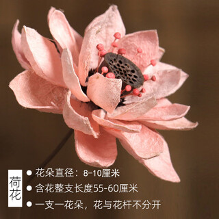 Aesthetic hacker zen chinese-style entrance living room model room dried flower bouquet real flowers natural dried lotus lotus floor decoration one light red lotus main image