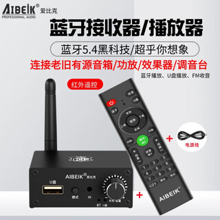 爱比克新品5.4蓝牙接收器解码器老音响功放升级蓝牙效果器调音台通用蓝牙适配器 主机+遥控器+电源线
