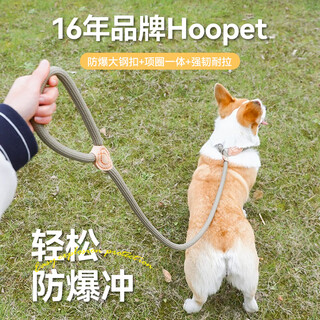 Huayuan pet equipment (hoopet) dog rope explosion-proof okinawa p rope p chain traction rope collar large and medium-sized dog leash to prevent break-away dog walking