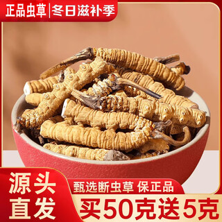 冬虫夏草断草正宗虫草藏区高海拔断虫草断草新鲜干虫草大断草 断虫草1克【正宗藏区中海拔】