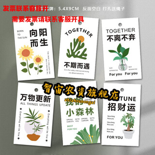 Tarjeta para el cuidado de las plantas de zhizhou, etiqueta colgante de pino verde, tarjeta de relajación, colgante pequeño en maceta de plantas verdes que cuelga debajo del árbol 1, etiqueta colgante de mezcla y combinación de bosque pequeño 18 piezas