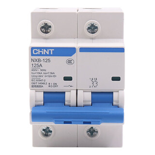 正泰正泰NXB-125空气开关1P大电流大功率断路器80A100A125A单相220V NXB-125 2P 100A