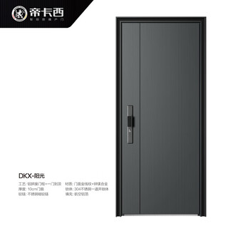 帝卡西DKX-阳光2050*960防盗门安全门入户门智能门轻奢户门