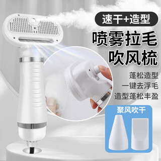 Pet hair drying tool, hair drying comb, dog hair drying machine, integrated hair dryer, teddy hair drying comb, beauty special, elegant silver (spray hair drying comb)