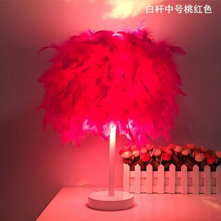 曜添创意简约欧式羽毛台灯卧室床头公主婚房温馨LED生日礼物玫瑰台灯 中号白杆桃红色羽毛 三档调光