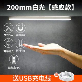 Fenglanqing fenglanqled body induction light strip magnetic light cabinet light wardrobe wine cabinet shoe cabinet usb induction night light strip charging 200mm white light white light/warm light