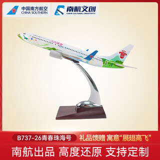 China southern airlines china southern airlines cultural and creative crafts aircraft model static model passenger aircraft youth zhuhai b737 birthday gift 737-26 youth zhuhai