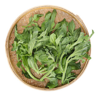 Shan ye xun xian ice grass 250g