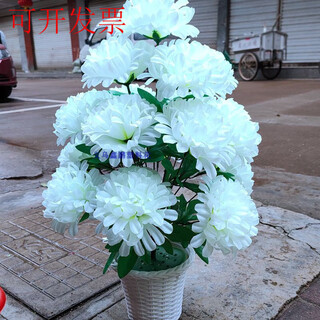 Qingming tomb sweeping fake chrysanthemum sacrifice simulated flower cemetery place everlasting flower graveside flower decoration fabric juana milky white bouquet does not include pots
