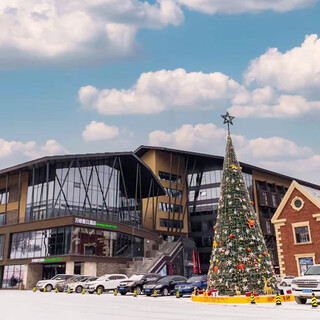 Tonghua wanfeng holiday hotel december 8th, december 9th deluxe large/double (including ski equipment)