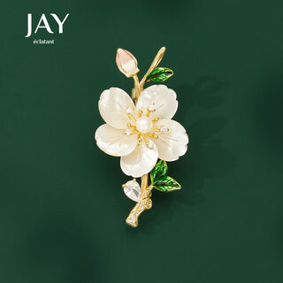 Jay plum blossom brooch women's pin accessories birthday gift for elder mother and mother-in-law