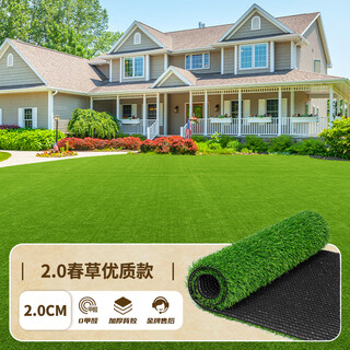 Yiliu artificial lawn carpet, fake turf bedding, plastic outdoor artificial court, artificial fence, kindergarten green mat, 2cm spring grass high quality composite black bottom, 50 square meters (2m wide and 25m long)