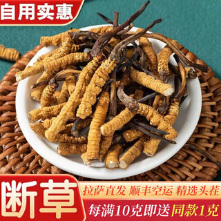 拉萨直发正宗藏区高海拔冬虫夏草断草精选纯天然大号干货断虫草 藏区高海拔大断草50克【送5克】