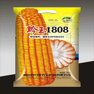 Гибридные семена полевой кукурузы qianyu 1808, стабильная урожайность, большие палочки, устойчивость к болезням, устойчивость к полеганию и засухоустойчивость, корм для южной весенне-осенней посадки qianyu 1808 (исходный jin jin равен 0,5 кг)