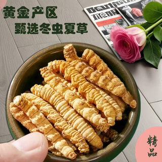 冬虫夏草正宗冬虫夏草精选大断草纯肉节干虫草自用实惠滋补佳品 那曲虫草纯肉整节100克送13克