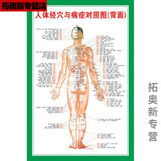 Miaopule human body acupoints high-definition illustrations complete chinese medicine health care human body meridian acupoints chart large wall chart whole body high-definition acupoints 002 green human body meridian acupoints comparison chart back side pp glue can be peeled off and can be pasted 145*210 cm = 100 inches