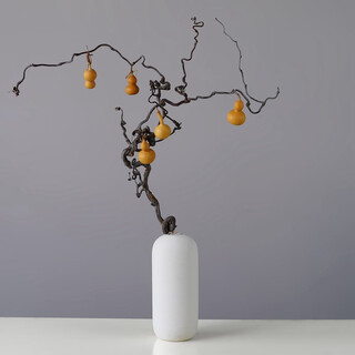 Aesthetic hacker art branches and trunks decorative ornaments zen flower arrangement dry branches flower bouquet real flowers living room floor-standing dry branches real flowers a gourd dry branch