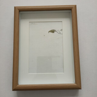 叶余适用于书法相框作品周岁手足印书法礼物diy8寸a4a3相框书法裱框自装 空框+卡纸+2张软卡宣纸(茶叶云龙) A3(29.7*42cm) 有机玻璃