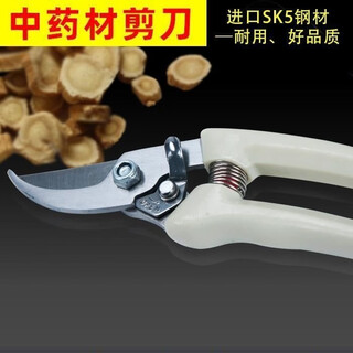 Scissors for cutting medicinal materials in hospitals, chinese medicine pharmacies, traditional chinese medicine scissors for cutting american ginseng, scissors for human medicine