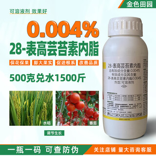 0.004%28 epi-high brassinolide brassin lactone tomato rice brassinoids plant growth regulator 100g