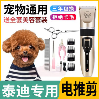 Teddy special electric hair trimming dog foot hair shaver pet electric hair clipper hair clipper dog hair red upgrade