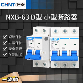 正泰D型空气开关NXB-63小型断路器空气开关DZ47空开100A三相 100A 3P