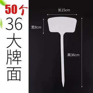 Benxinnong large-faced gardening ground-inserting cards can write plant labels, ground-inserting cards, succulent labels, identification cards, plastic inserting cards, 50 pieces (large-faced), medium size 36cm, white