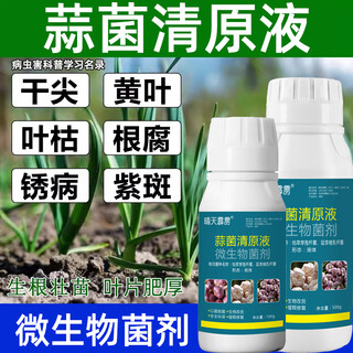 Garlic bacteria clear extract garlic special medicine dry tip yellow leaf root rot leaf blight rust purple spot sterilizing garlic bacteria clear allium bacteria clear original solution 100g 1 bottle