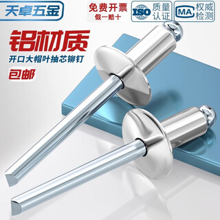 Tianzhuo hardware national standard aluminum large cap blind rivets round head open type large head rivets large flat head automotive rivets 4*10*12 50 pcs