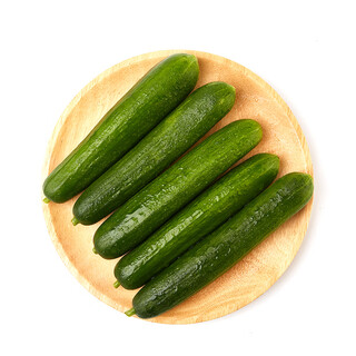 Fruit vegetable dutch fruit cucumber about 400g