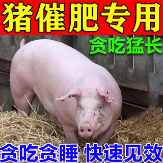 Veterinary fattening additives to promote fattening and weight gain, growth-promoting pig fattening additives premix, veterinary fattening feed 3 packs, buy 2 get 1 free, fast fattening