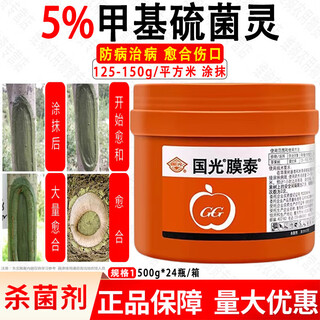 Guoguang membrane taida tree bonsai fruit tree wound smear healing agent grafting rot healing sealing cream 500g