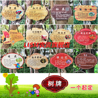 Han chang flower brand customized acrylic tree brand customized plant signage tree