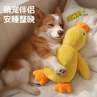 Qi oh dog toy resistant to bite and molars, sound toy for medium and large dogs, border collie corgi, boredom relief artifact, pet supplies, sound toy, charge duck, small size 22*25cm