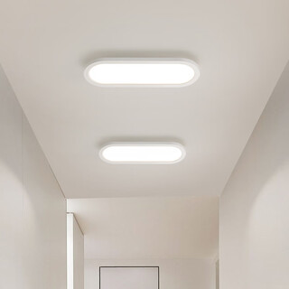 Grand View Garden (DGY) aisle light corridor light LED ceiling light modern simple Nordic long living room light study balcony lamp O263 16W 3892-white 40cm-neutral light-full spectrum