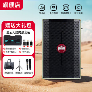 Magic 3 magic 3 s9 speaker high power 300w outdoor playing and singing live broadcast internal recording sound green