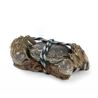 Qixian directly picked male hairy crabs from the yellow river estuary starting from 165g/piece