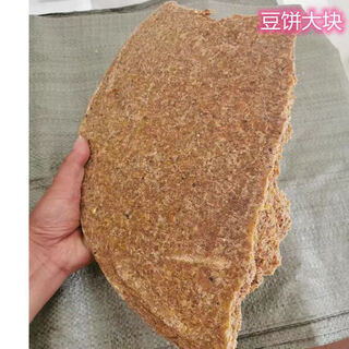 Traditional handcrafted bean cake, soybean meal, freshly squeezed soybean cake, chicken, pig, livestock feed, fishing bait, block bean cake (wild fish nest) (10 jin jin is equal to 0.5 kg)