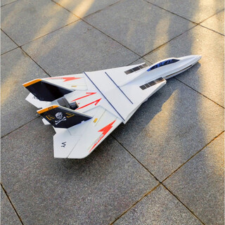BILLY RICE航模遥控飞机自己组装比赛F14可变翼固定翼航模k耐摔战斗机电动 15分钟续航 白色新材料kt板 空机+钢丝+舵脚+炭杆、炭片