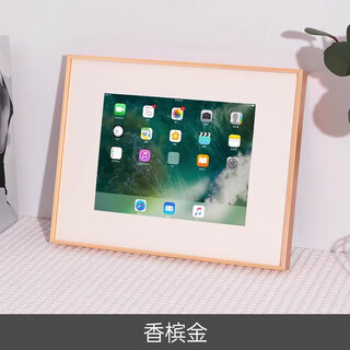 埠帝铝合金ipad老旧平板mini做成相框支架摆台改造电子装裱挂墙定制 香槟金送2张卡纸胶带 ipadmini13系列10寸卡洞16x12