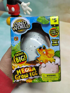 山头林村出口款泡水中孵化恐龙蛋三角龙霸王龙男孩魔术蛋早教创意儿童玩具