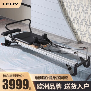 Leuy pilates core bed home correction training fitness equipment commercial aluminum alloy large equipment five-piece set yoga bed core bed (aluminum alloy model)