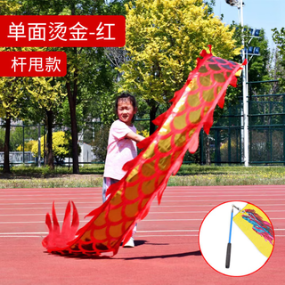 Aishun (aishun) children's dragon dance ribbon fitness dragon square dragon swing colorful strips and cloth faucet program beginner children's single-sided hot stamping - red (pole swing dragon) 2 meters