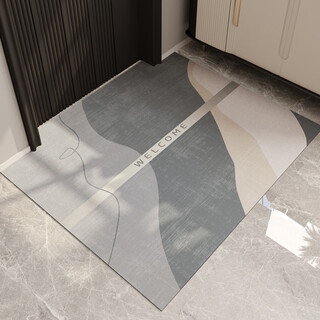 Boli ultra-thin entrance door mats, floor mats, non-stuck door, stain-resistant, non-slip floor mats, entrance door, thin carpets that can be cut with a single touch of glow, 120*240cm (no door jams)